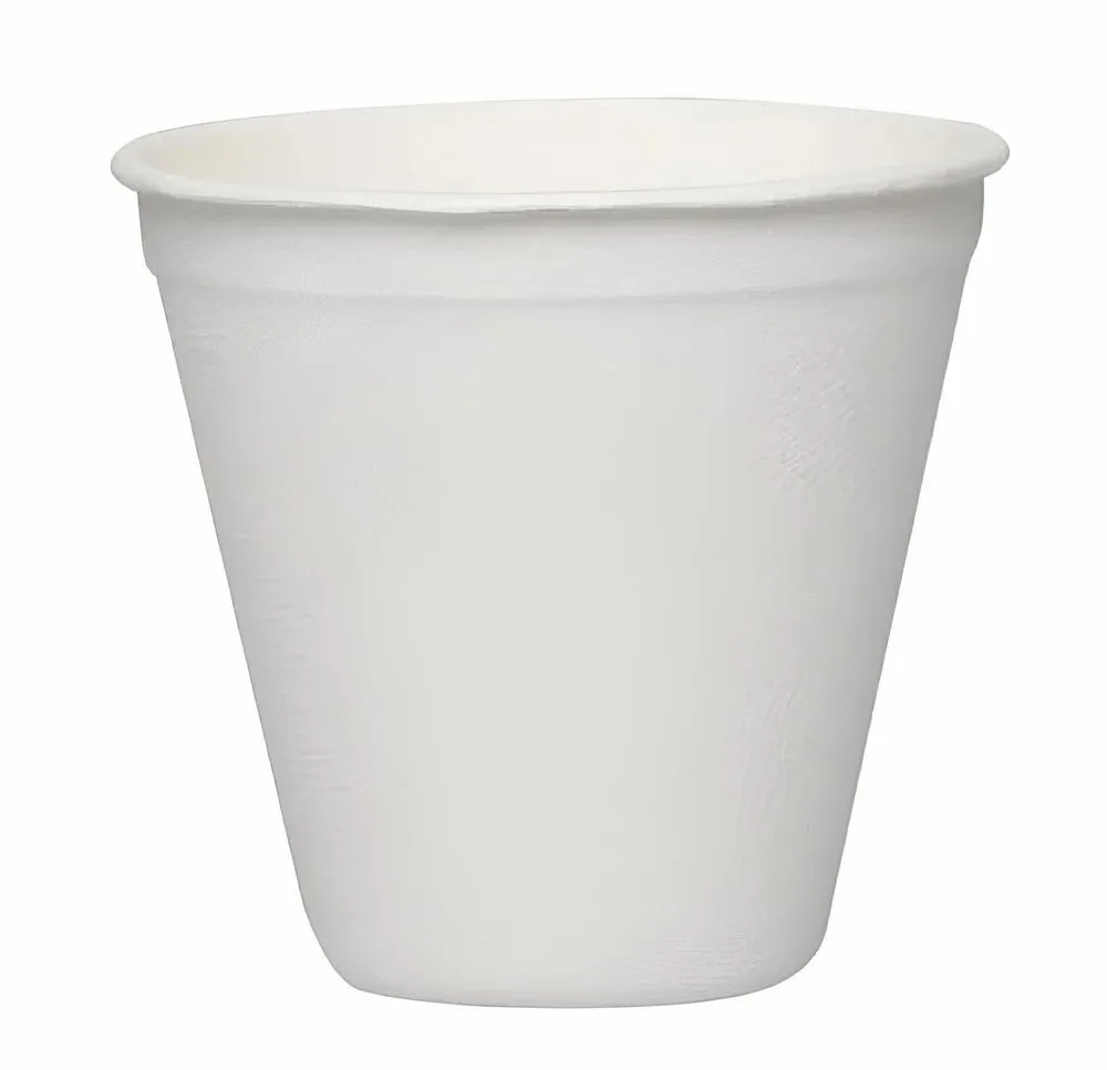 250ml Sugarcane Bagasse Cup